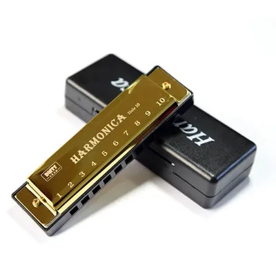 Harmonica Key of C 10 Hole Diatonic Harmonica C with Case for Beginner Students Kids Gift BLUES with