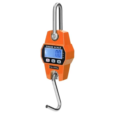 300kg Electronic Crane Scale LCD Digital Weighing Tool Industrial Heavy Duty Weight Stainless Steel
