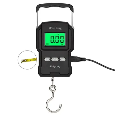 Black Electronic Weighing Digital Scale Rechargeable LCD 75Kg 10g Luggage Scale Hanging Hook Fishing
