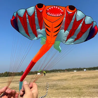 12.5M 3D Soft Ray Kite 9 Air Inlet Inflatable Large Animal Beach Professional Kites Easy To Fly Anti Tear Packaging Bag Cometas