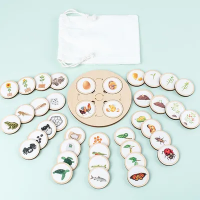 Life Cycle Board Montessori Kit Biology Science Education For Kids Sensory Tray Animal Figure Life