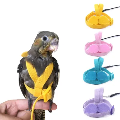 Bird+Supplies