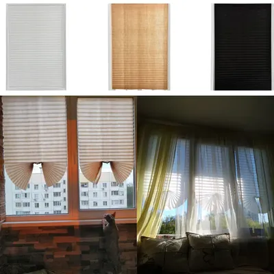 Window+Blinds