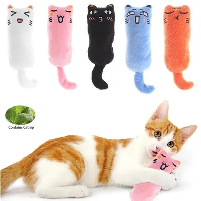 Cat+Supplies