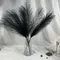 7pcs Fluffy Pampas Grass Boho Decor Flower Fake Plant Reed Simulated Wedding Party Home Decoration