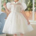 Enfants Fille Robe de fête Paillette Manche Courte Mariage Occasion spéciale Paillettes Franges Zippé Adorable Doux Coton Polyester Mi-long robe soirée Eté Printemps Automne 4-12 ans Blanche Champagne