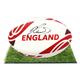 Signed Danny Care Framed Ball - England Rugby Icon