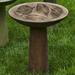 Campania International Birdbath Concrete | 23 H x 18.75 W x 18.75 D in | Wayfair B-160-PN