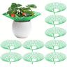 1pc/2pcs/10pcs, Strawberry Plant Supports, Strawberry Plant Stand With 3 Sturdy Legs, Strawberry Growing Racks, Strawberry Growing Frame, Protecting Strawberry Plants From Mold, Rot And Dirt, Green
