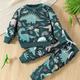 Baby Boys Cute Dinosaur Print Set Long Sleeve Sweatshirt Trousers Set Loungewear