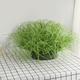 5pcs/bunch Artificial Grass Plastic Plants, Outdoor Green Plant, Fake Onion Rush Grass, Artificial Plant For Home Garden Decoration