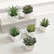 6pcs Artificial Succulent Plants - Mini Potted Plants With White Pots For Desktop, Window, And Bookshelf Decoration