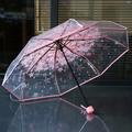 Foldable Sun Manual Umbrella Transparent Romantic Umbrella