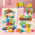 Montessori Wooden Toddler Puzzles For Kids, Montessori Toys For Toddlers, 3d Puzzle Educational Dinosaur Toy