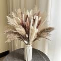 67pcs Dried Pampas Grass, Natural Dried Flower For Wedding Party Shower Living Room Bedroom Farmhouse Office Table Vase