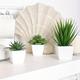 3pcs, Fake Potted Succulents, Plastic Potted Plant, Small Potted Plant, Artificial Plant Landscape Decoration Simulation Succulent For Indoor Living Room Office Bedroom Hotel Decoration