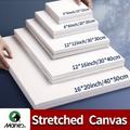 "Marie's 3 Packs Stretched Canvas With 6x6"", 8x8"", 12x12"", 12x16"", And 16x20"", Primed White Canvas Art Supplies For Acrylic, Oil, Acrylic Pouring Painting, Perfect For Students, & Professionals"