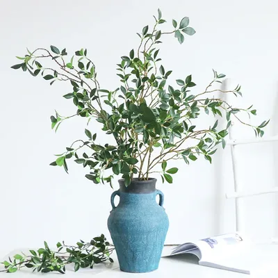 Flowers+Plants