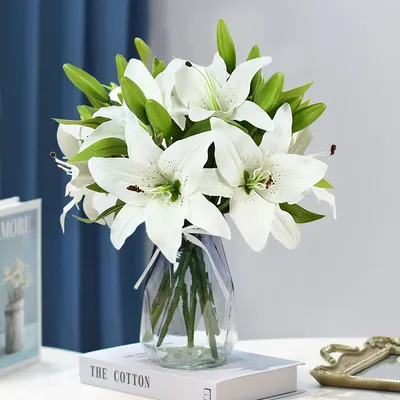 Flowers+Plants