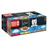 Cesar Senior 10+ in gelatina Umido per cane - 40 x 100 g