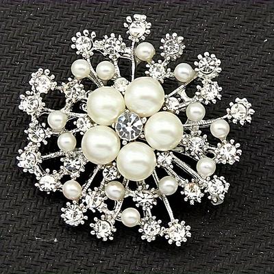 Women's Brooches Elegant Fashion Cute Brooch Jewelry Silver Pink Red For Party