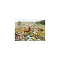 National Park 1000 Piece Jigsaw |