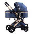 2 in 1 Baby Stroller for Newborn, Baby Strollers for Infant and Toddler, High Landscape Shock-Absorbing Carriage Two-Way Pram Trolley Baby Pushchair Ideal for 0-36 Months (Color : Blue B)