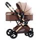 2 in 1 Baby Stroller for Newborn, Baby Strollers for Infant and Toddler, High Landscape Shock-Absorbing Carriage Two-Way Pram Trolley Baby Pushchair Ideal for 0-36 Months (Color : Brown)