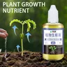 Stimolatore della radice per piante stimolatore della radice di piante e alberi organici ad alte