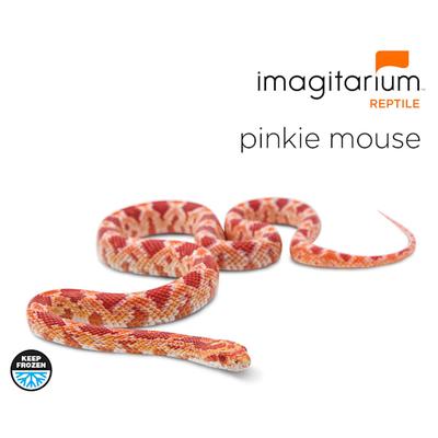 Frozen Pinkie Mouse, Medium, Count of 50