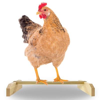 Backyard Barnyard Chicken Perch for Birds, 15.5" L X 5.75" W X 2.5" H