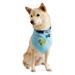 Earth Day Bandana for Dogs, Large/X-Large, Blue, Blue / Green