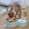 Neue 2-in-1 Katzen schale Wassersp ender automatische Wassersp eicher Haustier Hund Katze Futter Schüssel Futter behälter mit Tränke Haustier Tränke Feeder