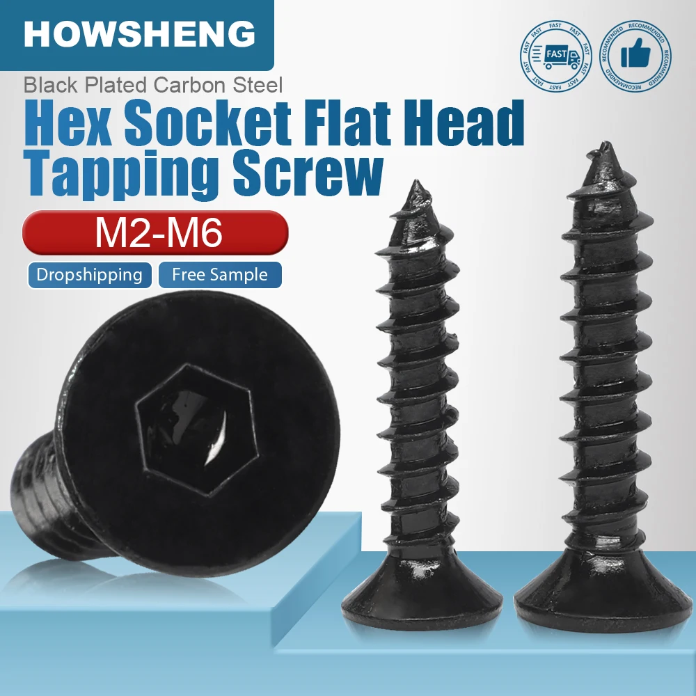 HOWSHENG 5–100 Stück Innensechskant-Blechschraube mit flachem Kopf, M2, M2,3, M2,6, M3, M6, schwarz plattierte Innensechskant-Blechschraube für Holz Image