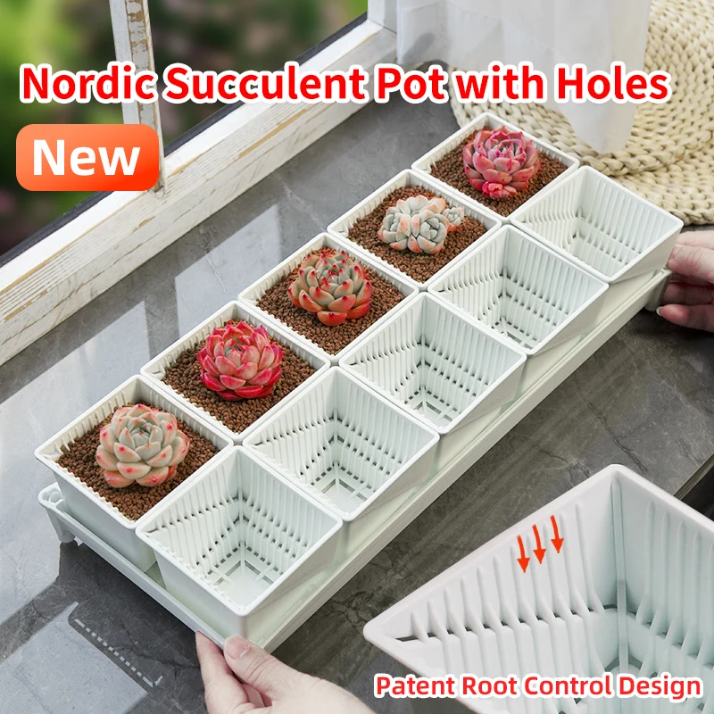 Meshpot Sukkulenten Töpfe mit Löchern Kaktus Lithops Pflanzen Topf Sämlinge Kindergartenbedarf Gartenbausätze Heimdekoration Image