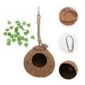 Arrampicata Pet Coconut Shell Nest terrario Snag per ruptil rettili giocattoli uccelli lucertola