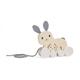 Bunny & Baby Pull Along Toy