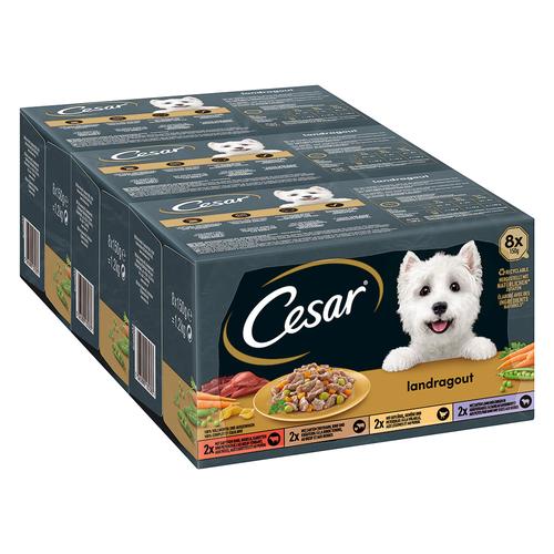 96x 150g Country Kitchen Favourites Cesar Hundefutter nass