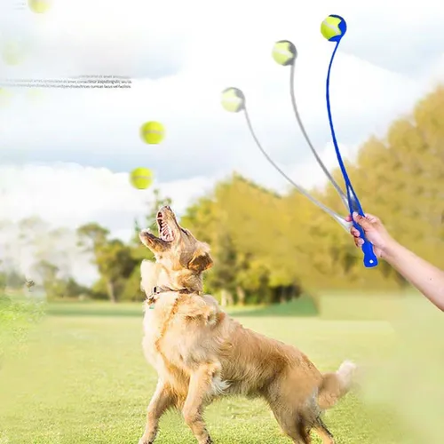 1 Satz Haustier Hund Spielzeug Haustier werfen Queue und Hund Training Spielzeug Ball Launcher