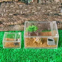 Reptilien zucht box Gecko Tank Fütterung sbox Reptilien Terrarien Acryl Terrarium Voll ansicht