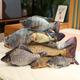 30cm/11.8in Simulation Funny Fish Plush Toys Stuffed Soft Animal Carp Plush Pillow Creative Sleep Cushion For Kids Girls Cat Toys