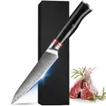 Couteau à désosser japonais couteau utilitaire japonais acier Damas 67 couches pleine soie