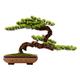Artificial Bonsai Tree Large Artificial Tree with Ceramic Pot Artificial Welcome Pine Bonsai Faux Tree Home Decoration Simulation Tree Fake Potted Green Plant Artificial Plant Artificial Trees Plants