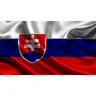 90*150cm bandiera della slovacchia bandiera della slovacchia EU 3 * 5FT Hanging FLAG