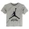 Toddler Jordan Brand Silver San Antonio Spurs Essential Jumpman T-Shirt