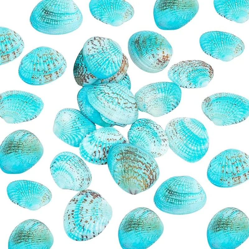 35 stücke blaue Muscheln 32 ~ 37mm ungebohrte gefärbte Jakobs muschel Muschel blaue Muschel Strand Muschel für Schmuck Kerze machen nach Hause Image