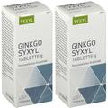 Ginkgo Syxyl Tabletten Doppelpack 2x120 St