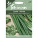 Johnsons Seeds - Pictorial Pack - Herb - Garlic Chives - 250 Seeds