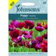 Johnsons - Flower - Poppy Pandora - 500 Seeds