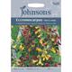 Johnsons Seeds - Pictorial Pack - Flower - Eccremocarpus Tresco Mixed - 150 Seeds